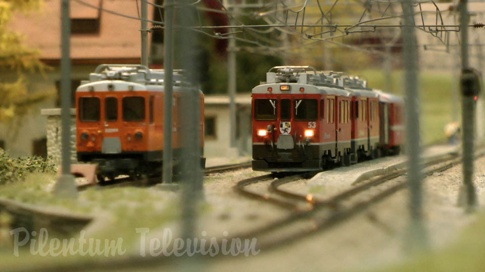 Train Miniature du BEMO - Modèles réduits de trains à voie étroite